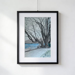 Acquarello dei quattro platani storici del debarcadero di Locarno affacciati sul Lago Maggiore, con tronchi imponenti e rami spogli in una giornata invernale.