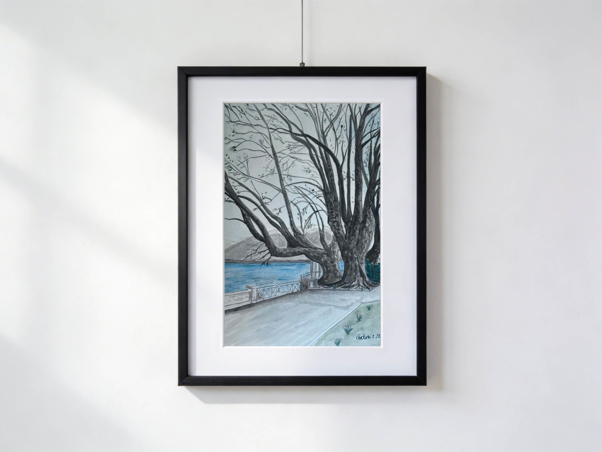 Acquarello dei quattro platani storici del debarcadero di Locarno affacciati sul Lago Maggiore, con tronchi imponenti e rami spogli in una giornata invernale.